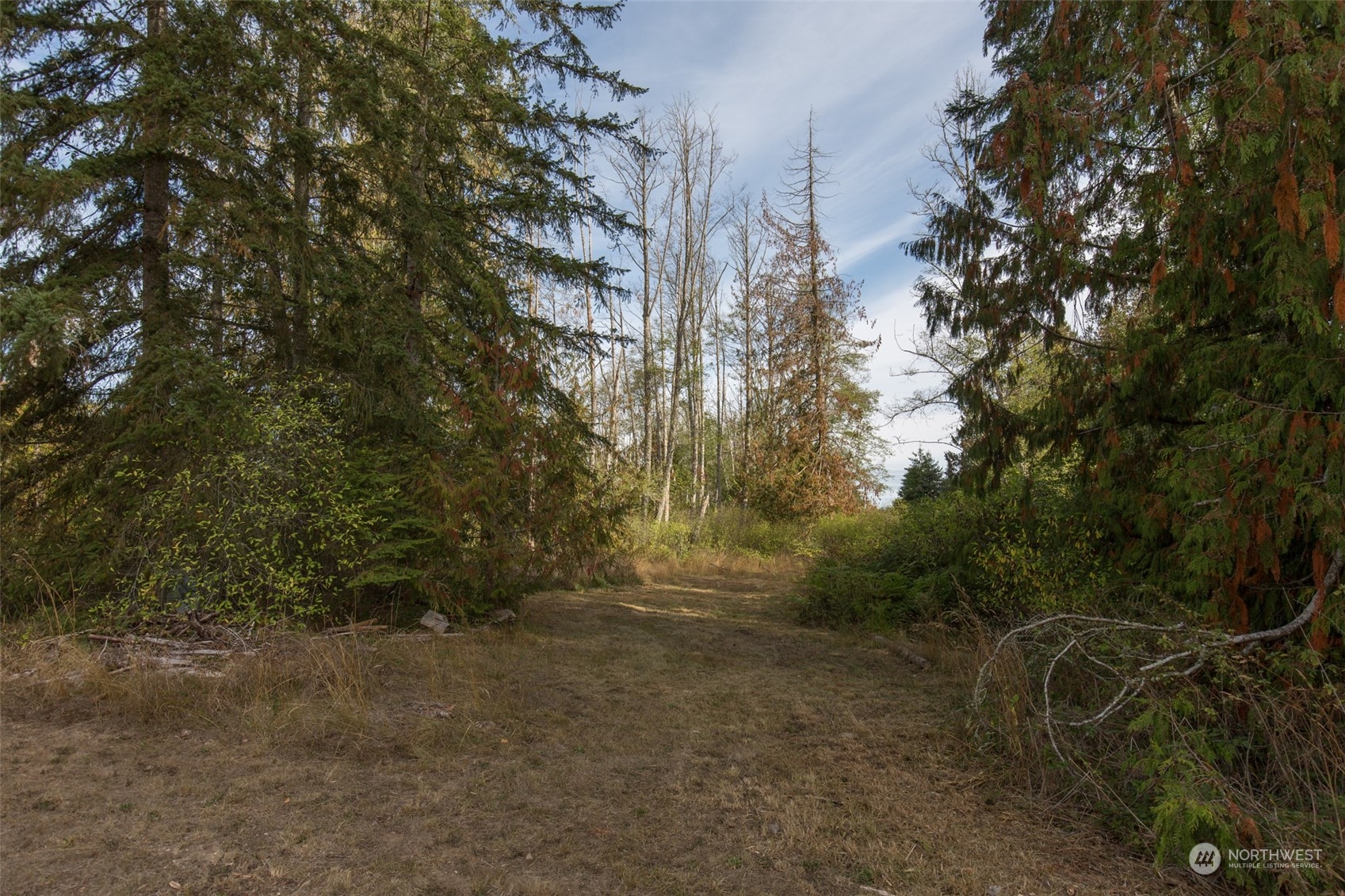 197 Jay Robinson Road Sequim, WA 98382 - Photo 30 of 40 a view of outdoor space and trees