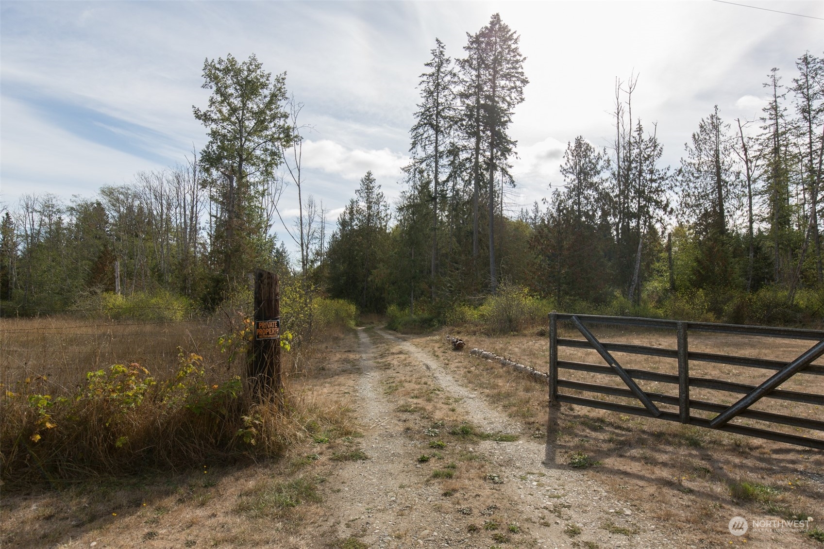 197 Jay Robinson Road Sequim, WA 98382 - Photo 3 of 40 a view of a bench in a forest