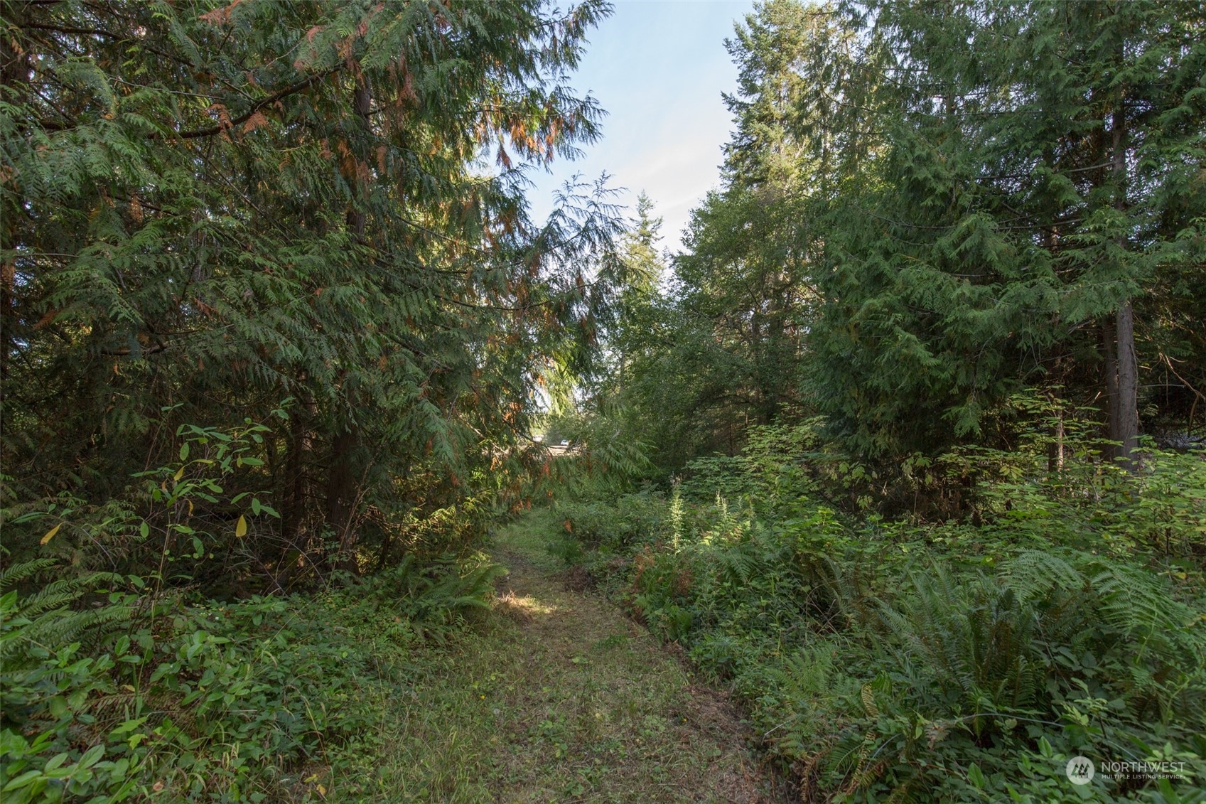 197 Jay Robinson Road Sequim, WA 98382 - Photo 31 of 40 an aerial view of residential house with outdoor space and trees all around