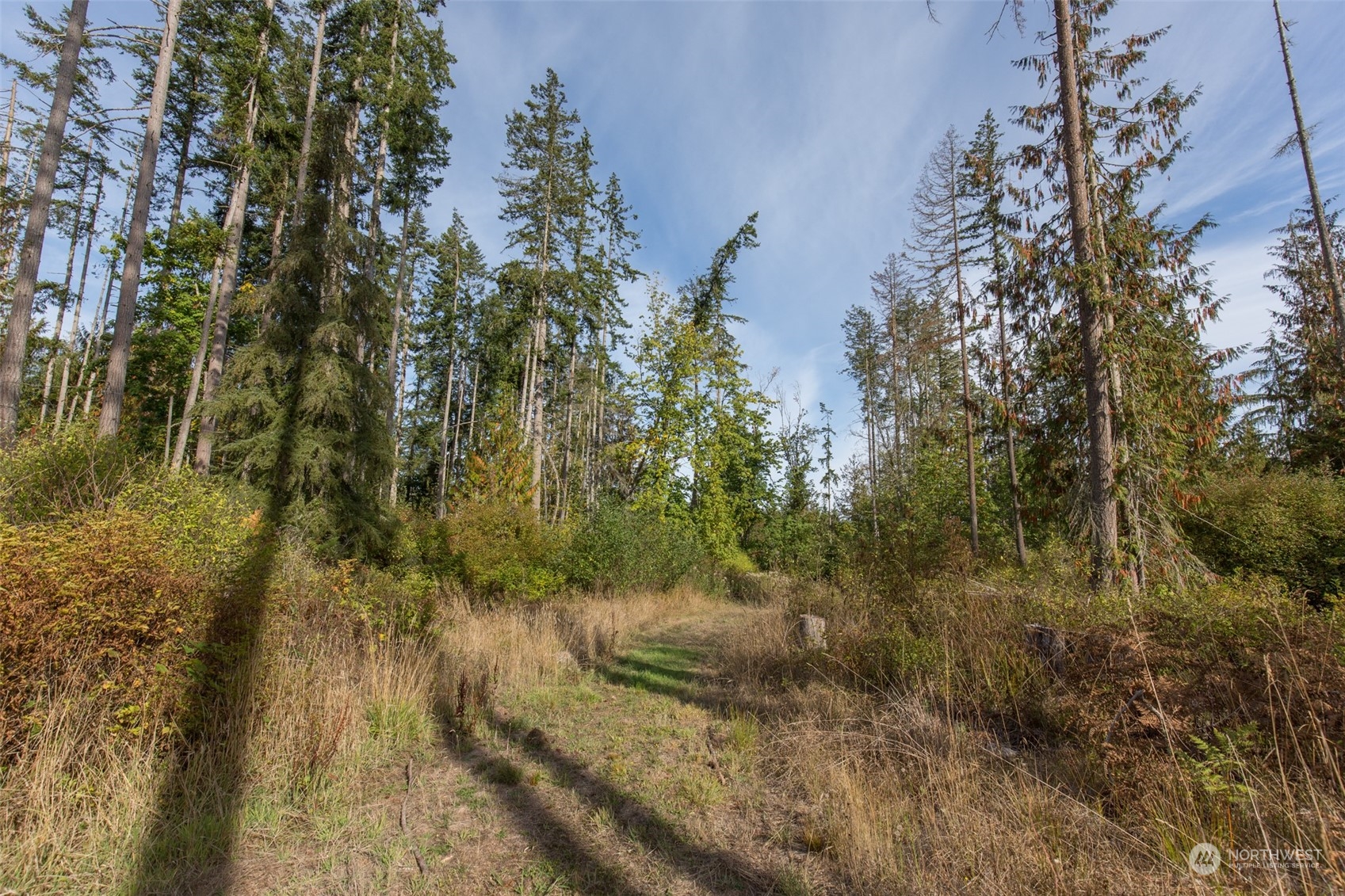 197 Jay Robinson Road Sequim, WA 98382 - Photo 37 of 40