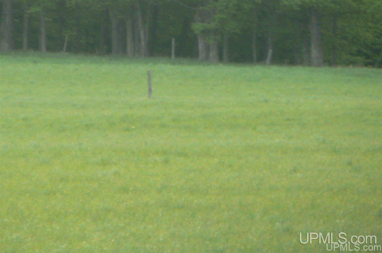 30 Acres Road Eben Junction, MI 49825 - Photo 2 of 3