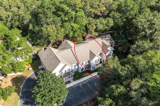 an outdoor space with plants