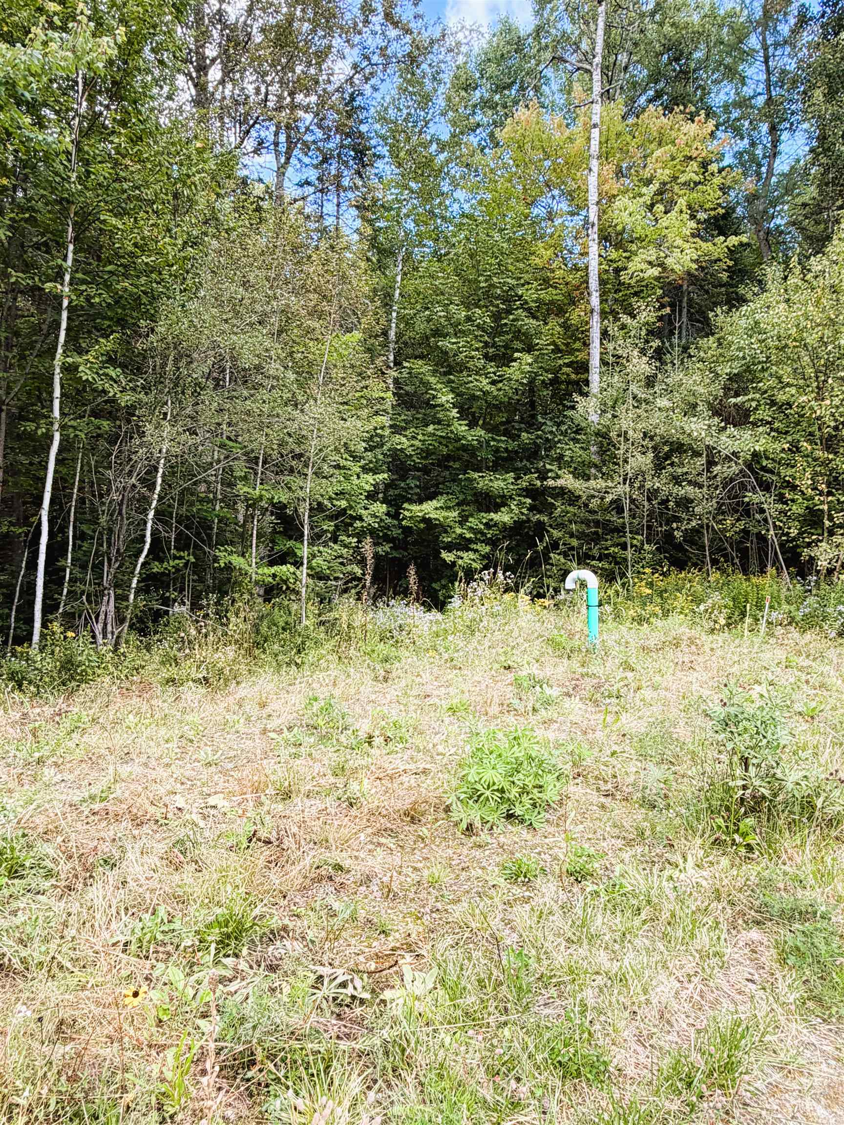 453 Union Road Dalton, NH 03598 - Photo 28 of 37 Gallery Image 28