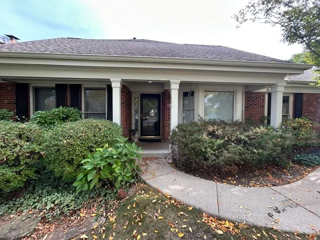 front view of the house with potted plants