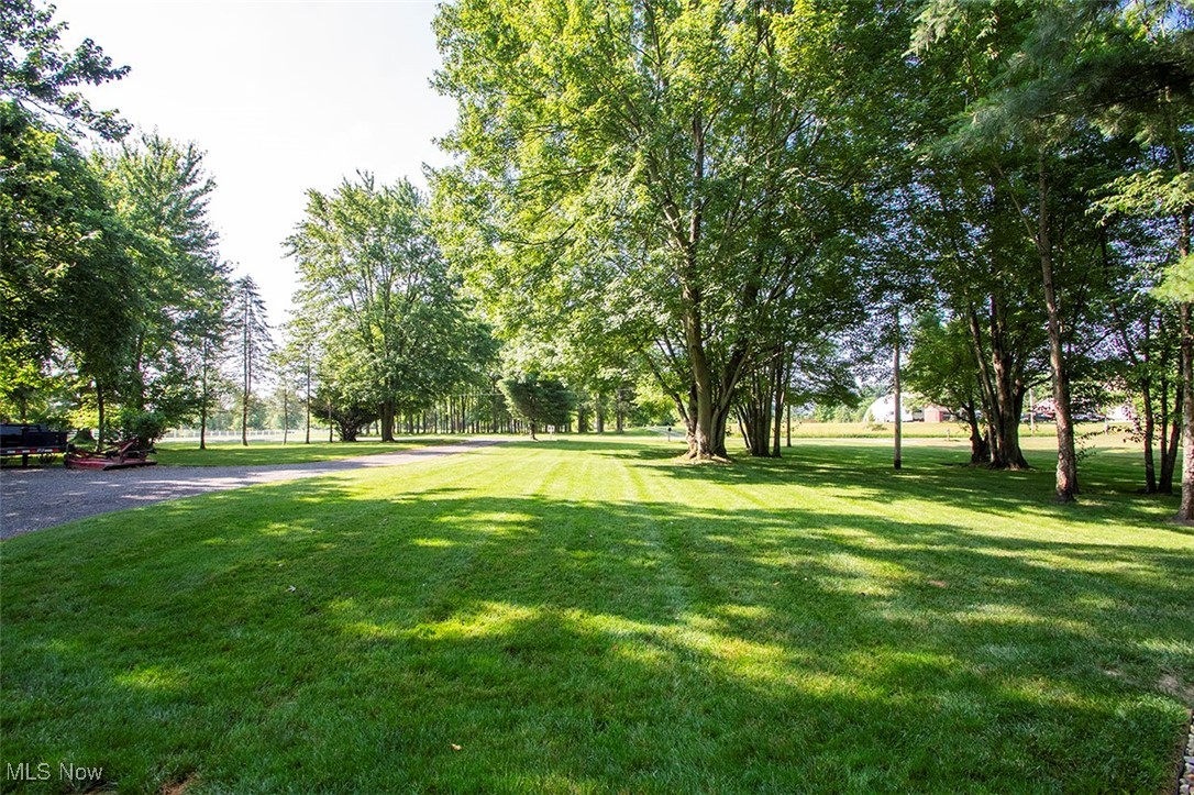 View of grassy front yard