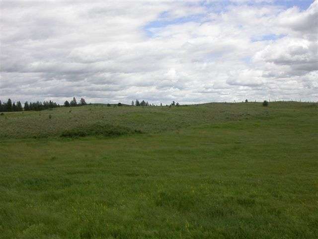 25317 South Rupp Road Cheney, WA 99004 - Photo 5 of 8