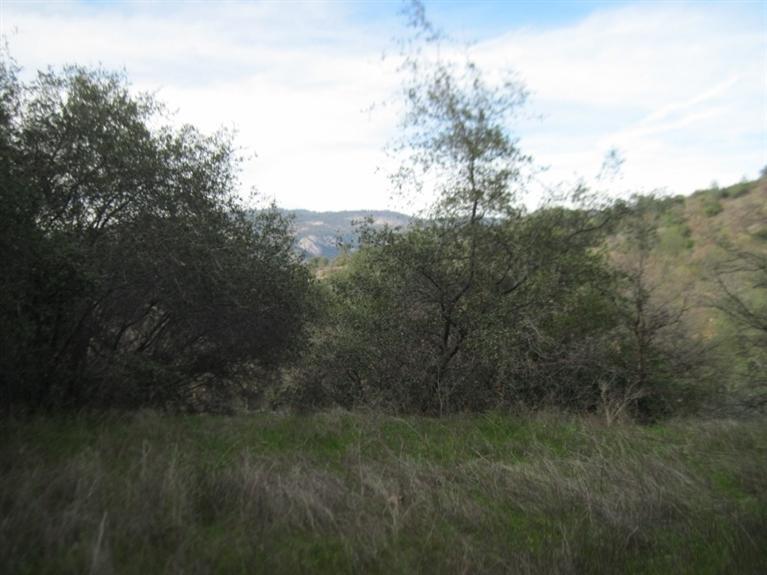 28710 Kimberly Road Tollhouse, CA 93667 - Photo 3 of 9 Gallery Image 3