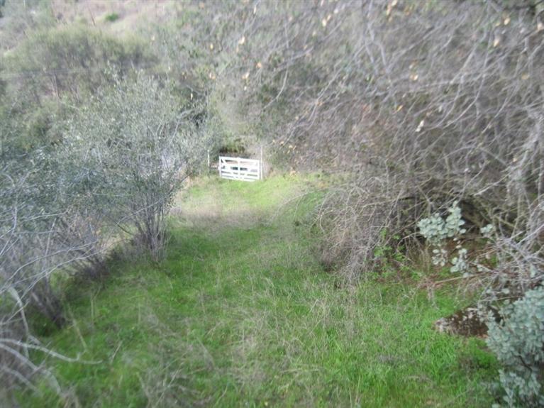 28710 Kimberly Road Tollhouse, CA 93667 - Photo 5 of 9 Gallery Image 5