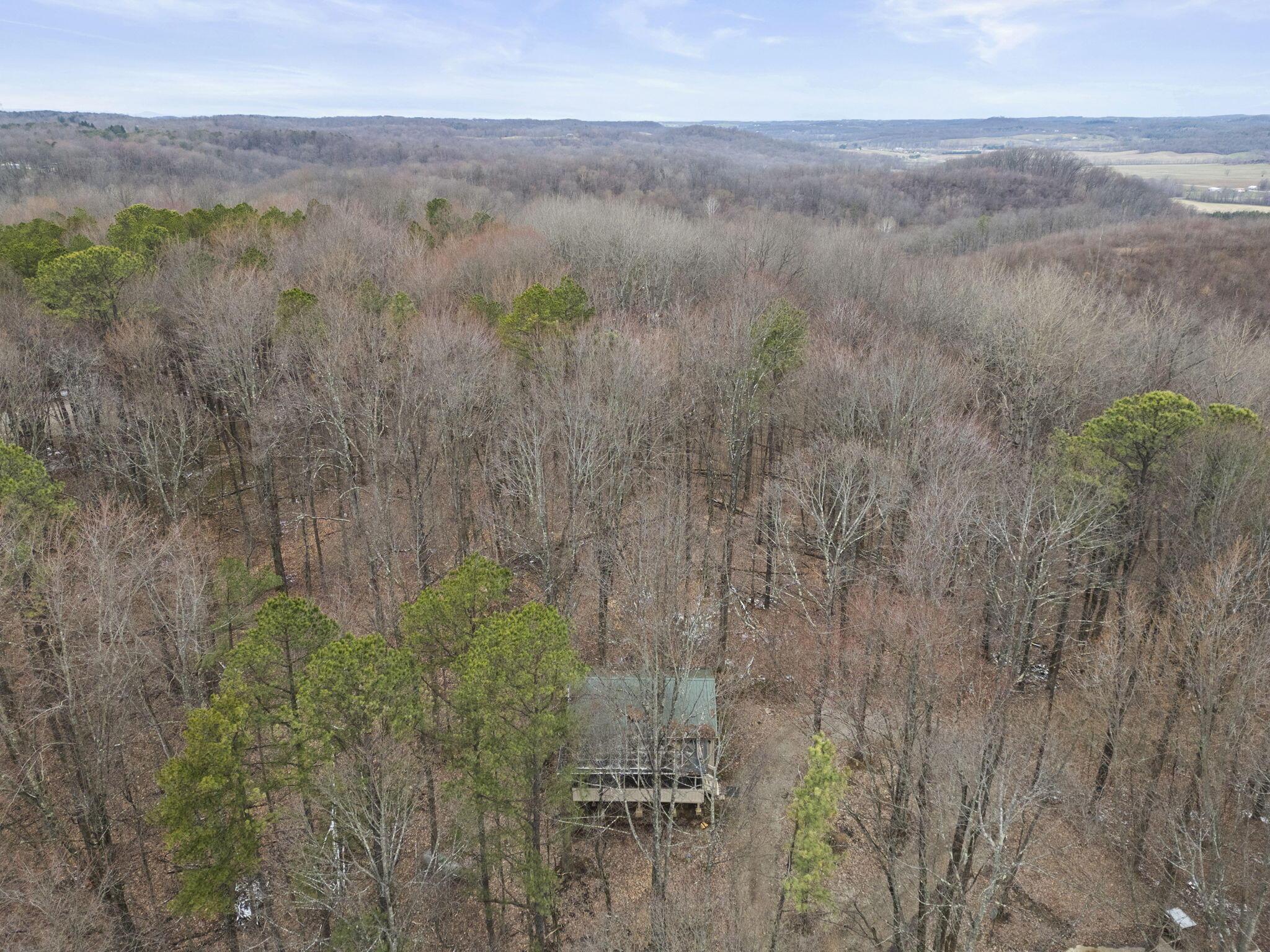 20554 Thompson Ridge Road Laurelville, OH 43135 - Photo 5 of 40 2.1 Acres