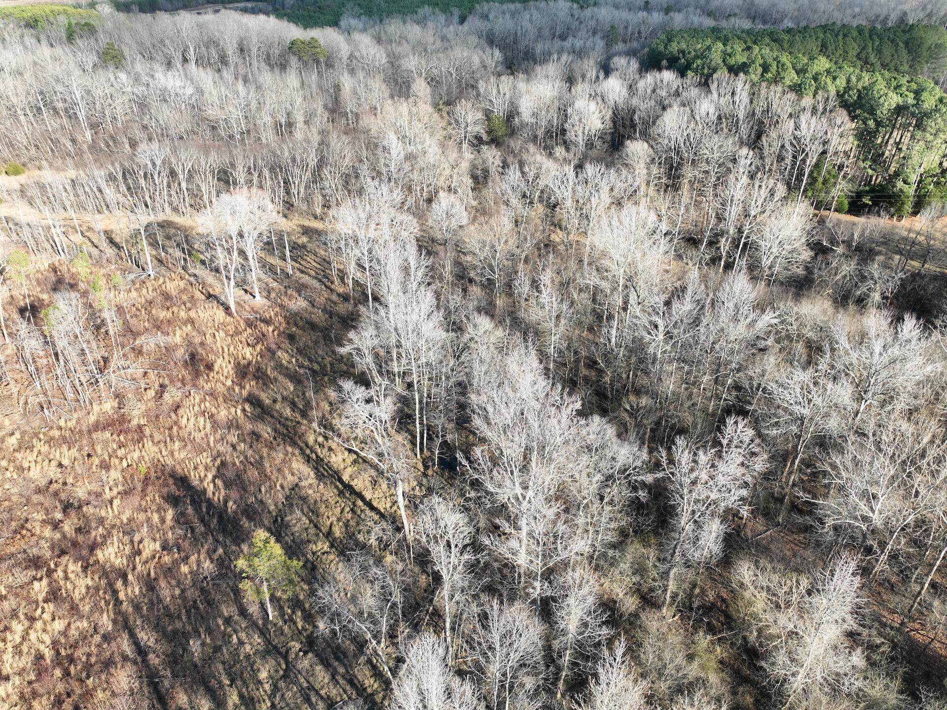 0 Green Level Road Scottsburg, VA 24589 - Photo 14 of 68 18
