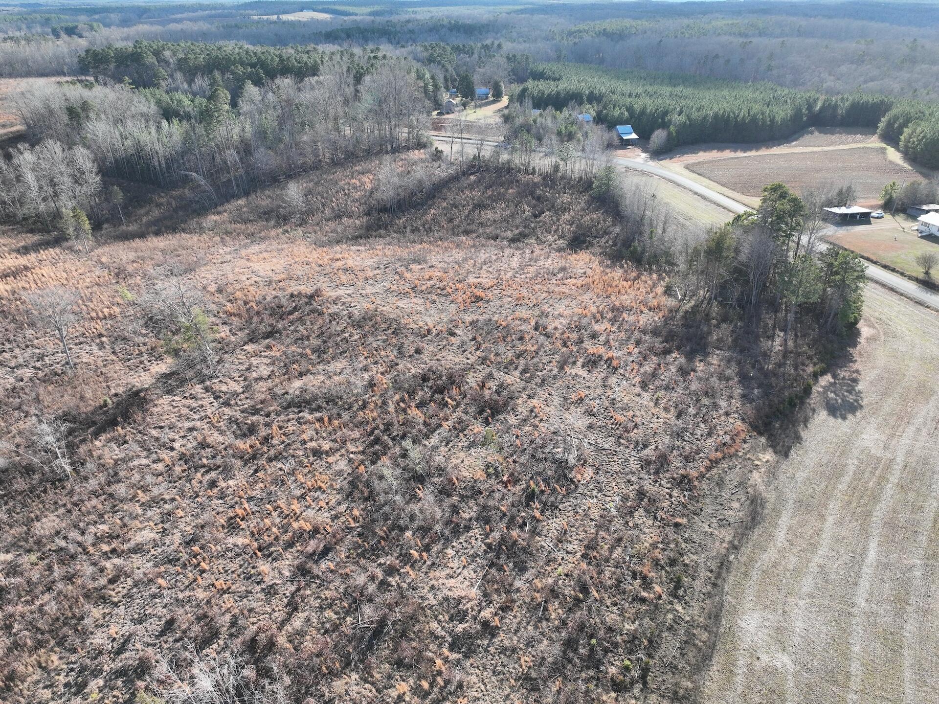 0 Green Level Road Scottsburg, VA 24589 - Photo 23 of 68 Halifax 185.44 ac video - 37