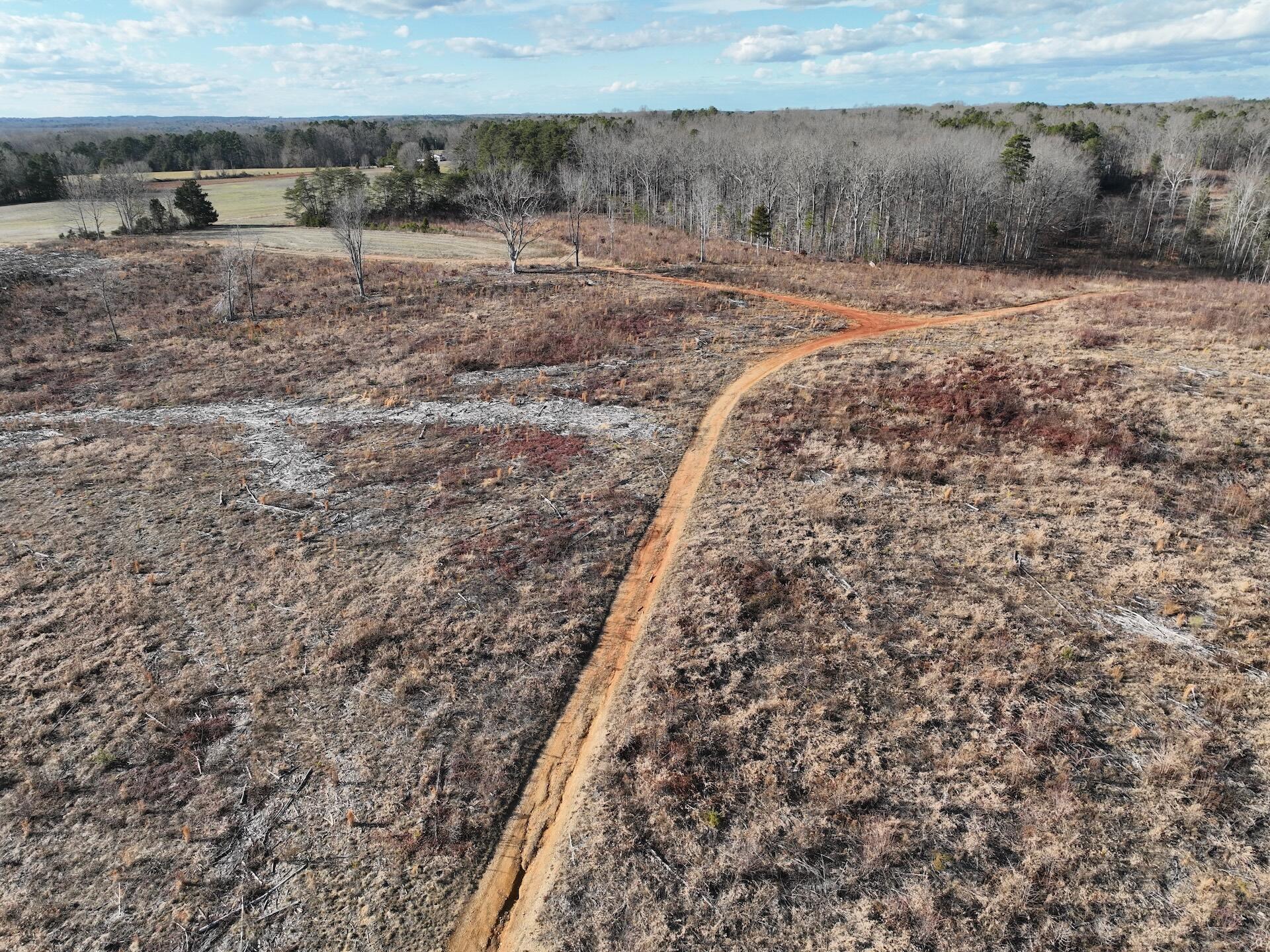 0 Green Level Road Scottsburg, VA 24589 - Photo 31 of 68 Halifax 185.44 ac video - 21