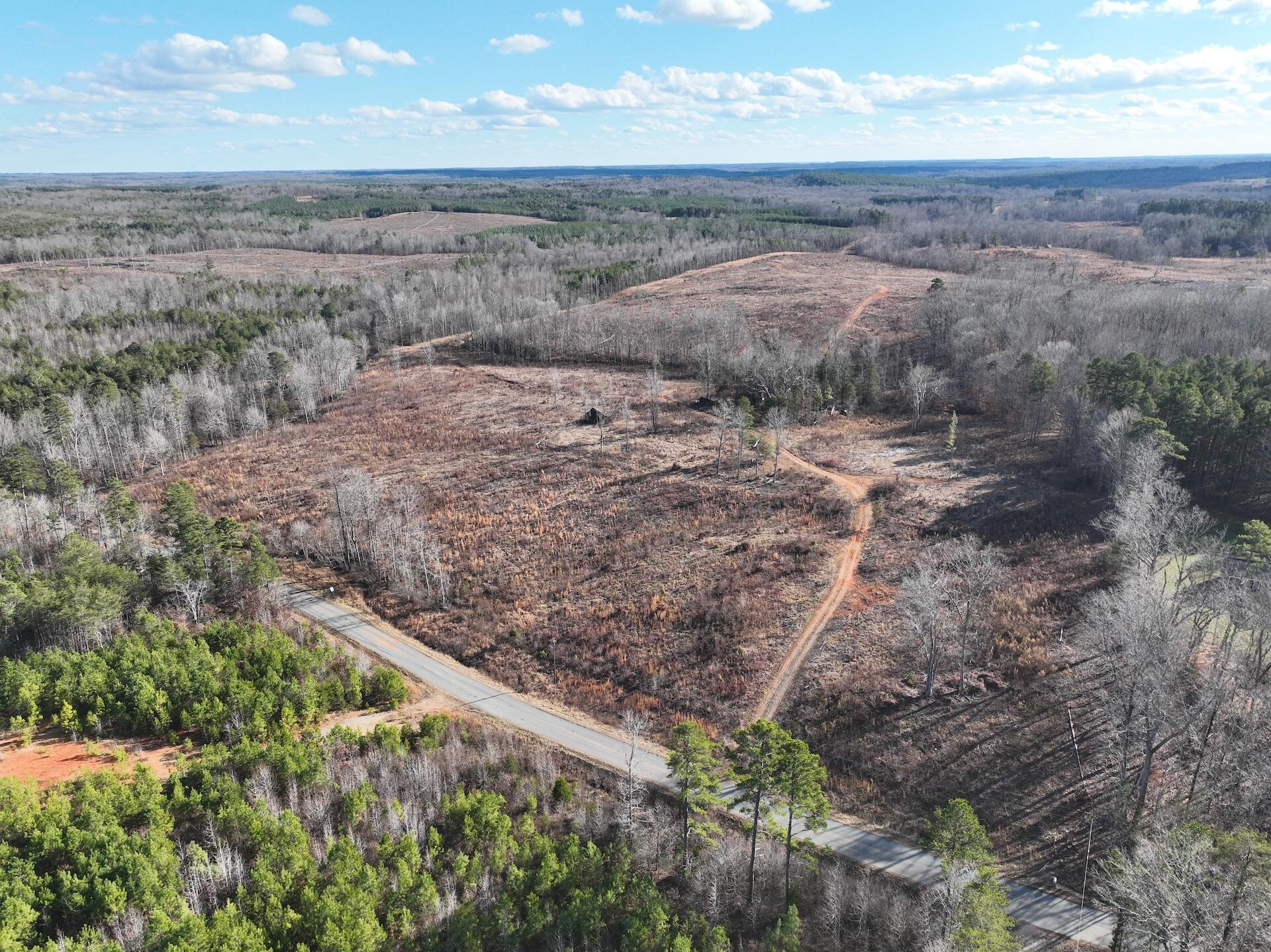 0 Green Level Road Scottsburg, VA 24589 - Photo 44 of 68 Halifax 185.44 ac video - 2