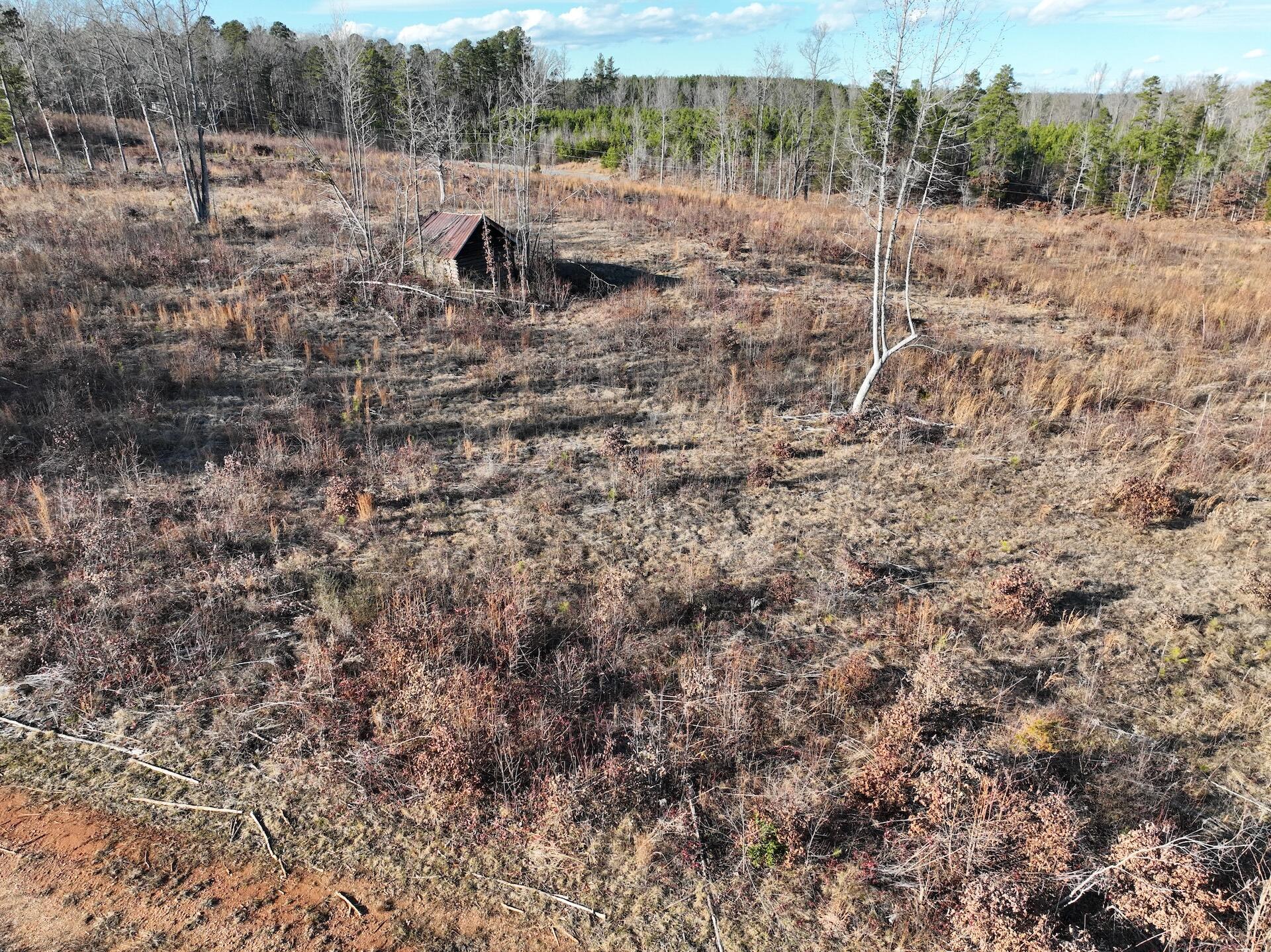 0 Green Level Road Scottsburg, VA 24589 - Photo 52 of 68 Halifax 185.44 ac video - 61