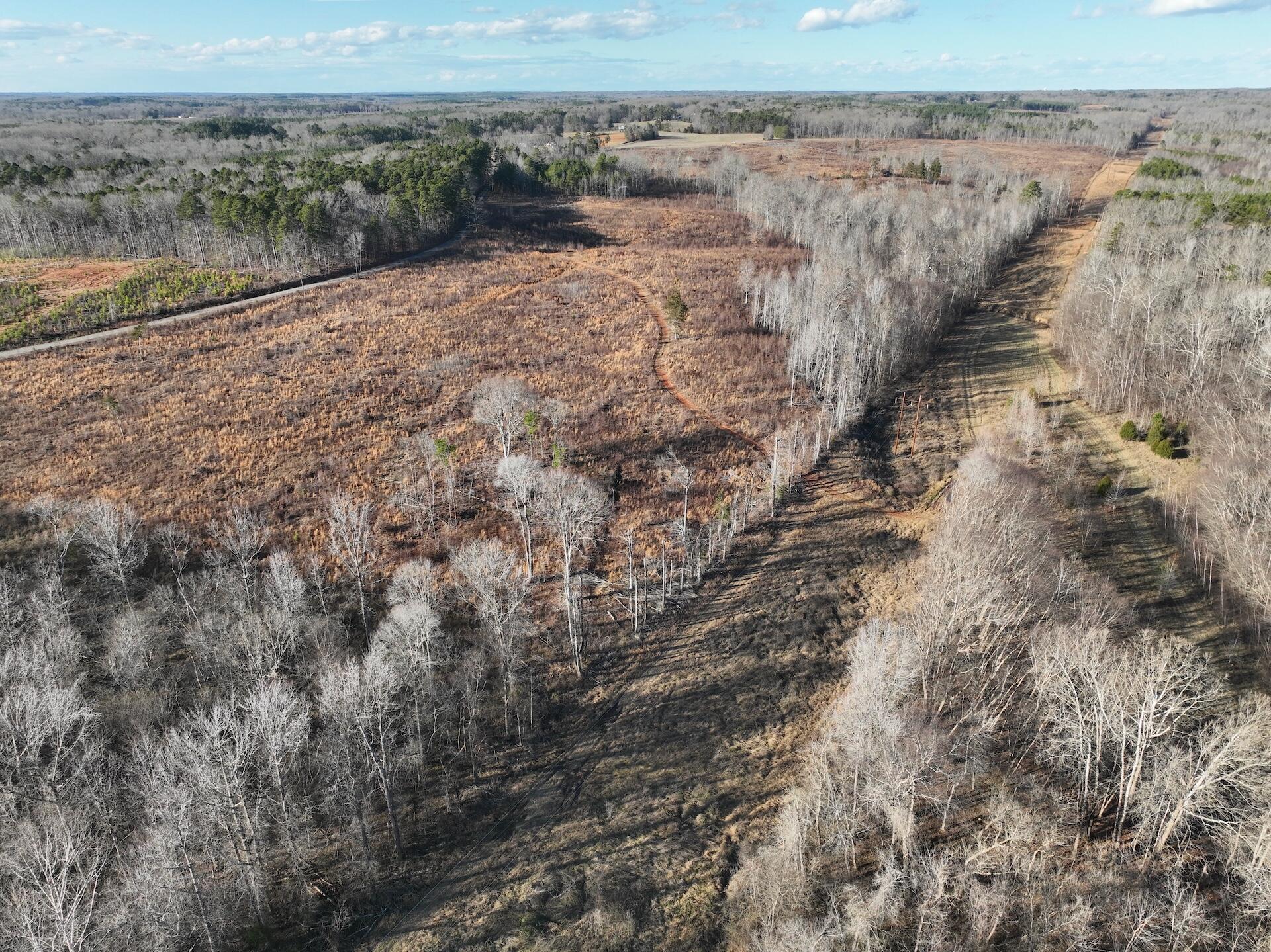 0 Green Level Road Scottsburg, VA 24589 - Photo 57 of 68 Halifax 185.44 ac video - 55