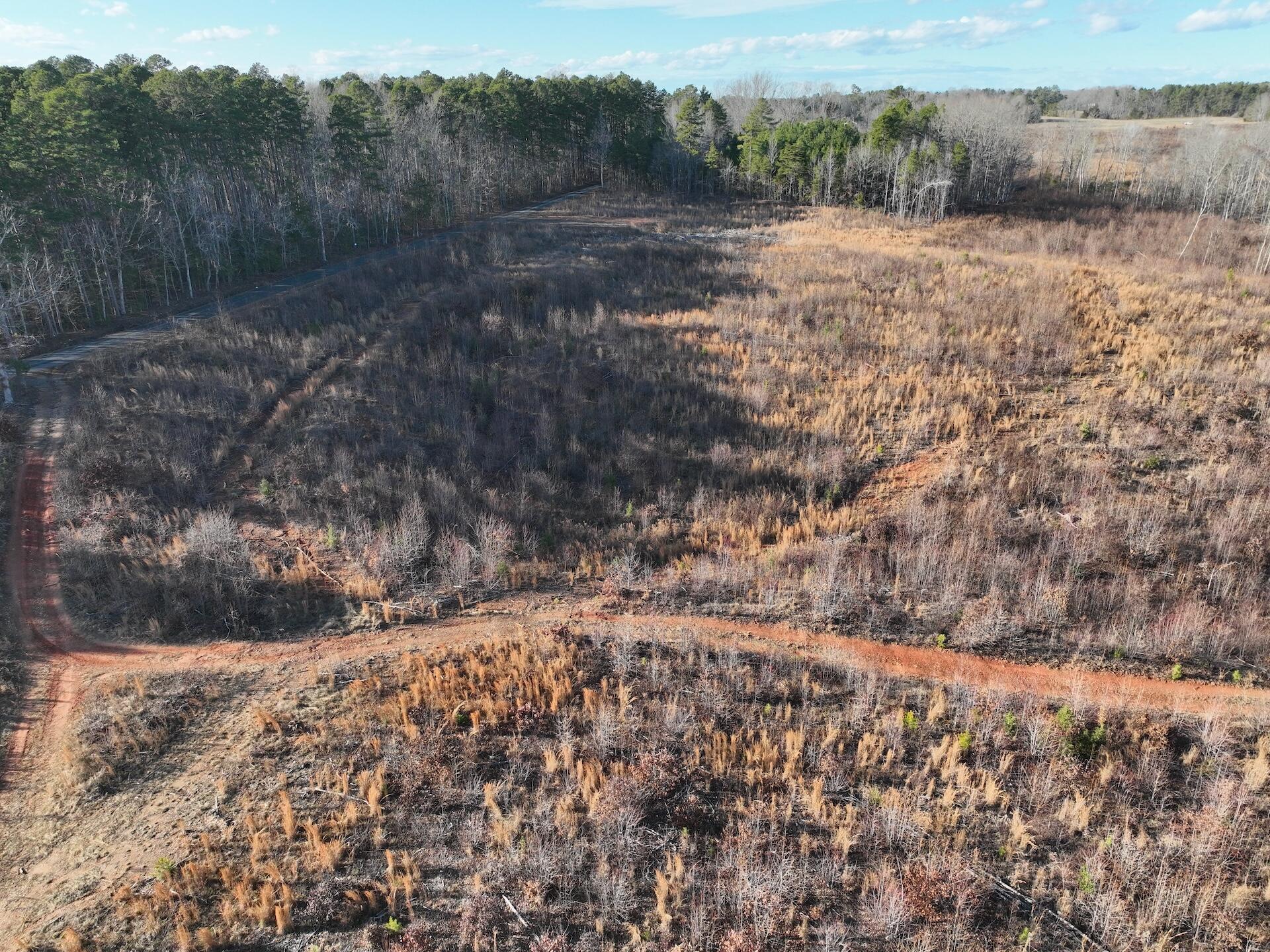 0 Green Level Road Scottsburg, VA 24589 - Photo 59 of 68 Halifax 185.44 ac video - 52