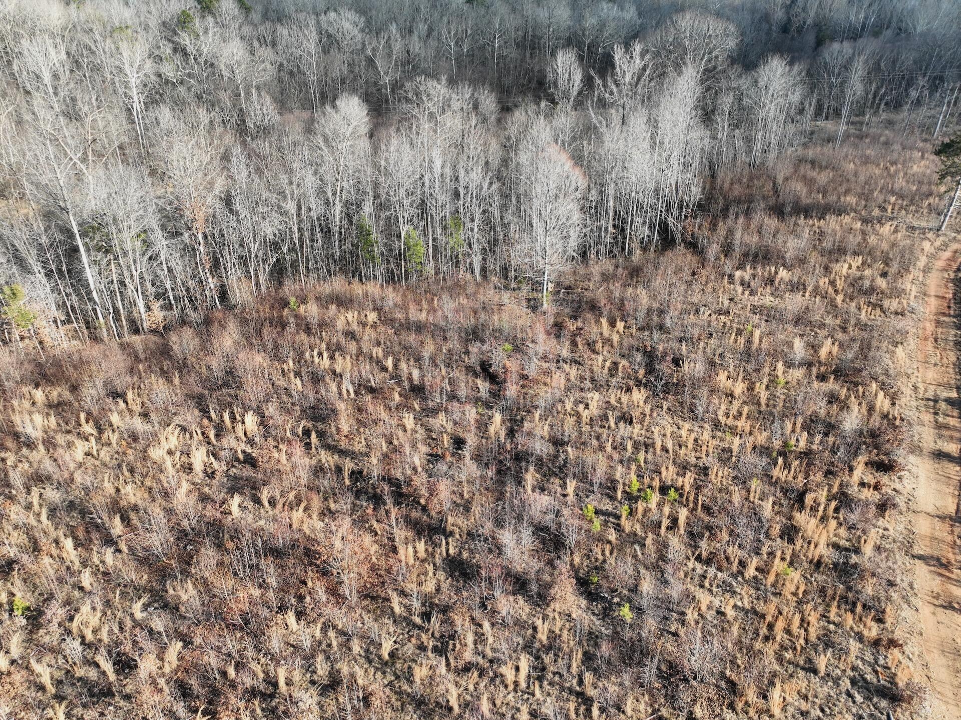 0 Green Level Road Scottsburg, VA 24589 - Photo 61 of 68 Halifax 185.44 ac video - 50