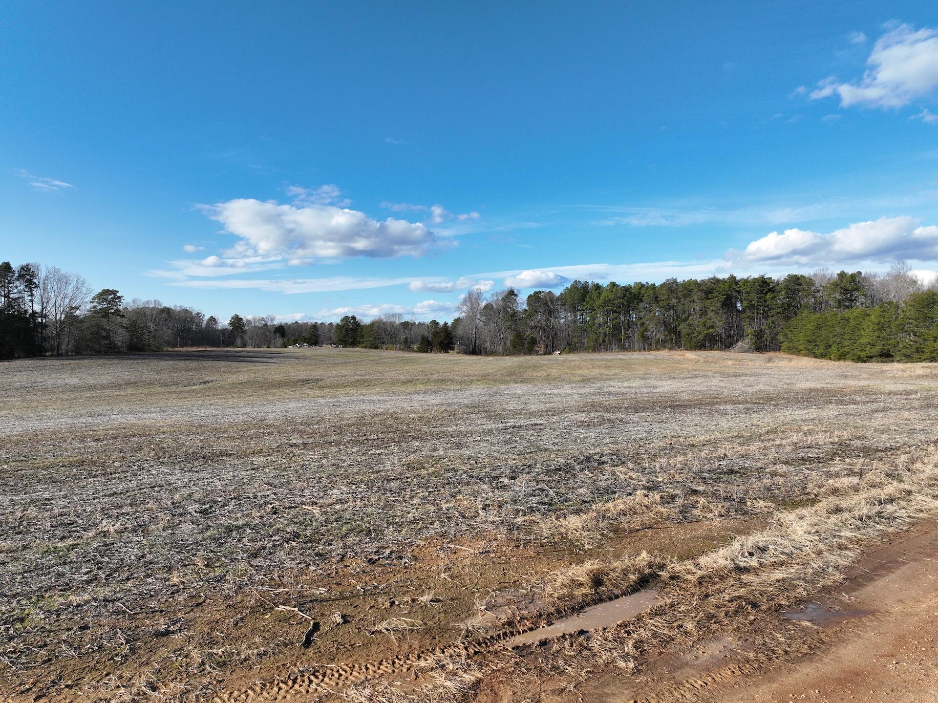 0 Green Level Road Scottsburg, VA 24589 - Photo 64 of 68 Halifax 185.44 ac video - 46