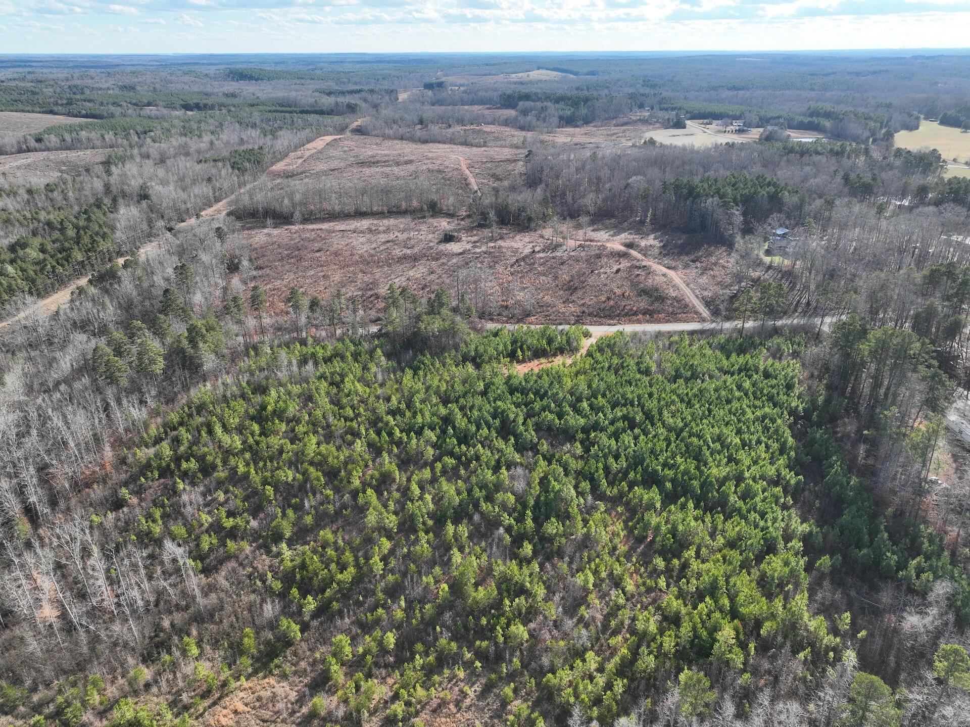 0 Green Level Road Scottsburg, VA 24589 - Photo 8 of 68 7