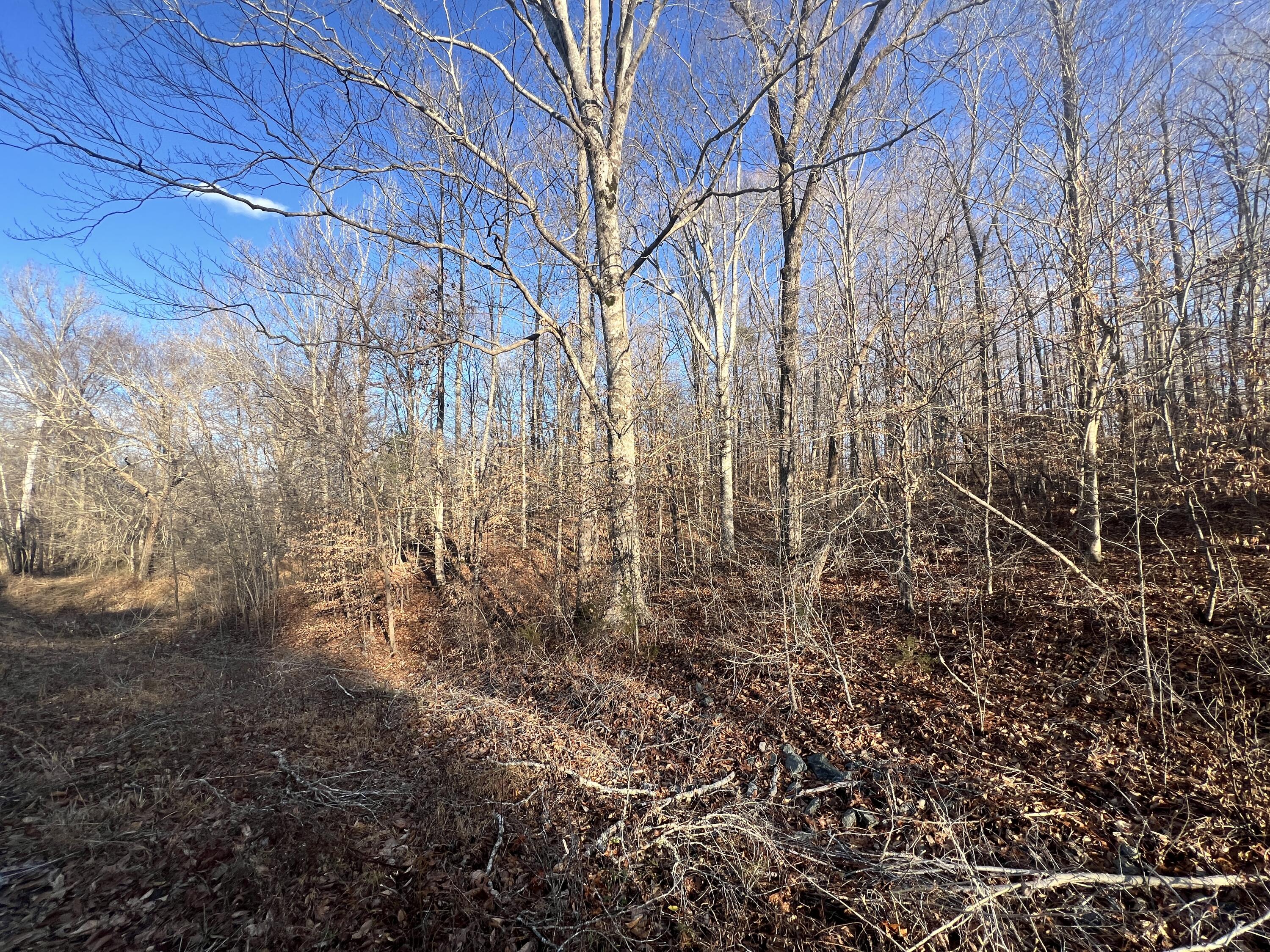 0 Green Level Road Scottsburg, VA 24589 - Photo 10 of 68 5
