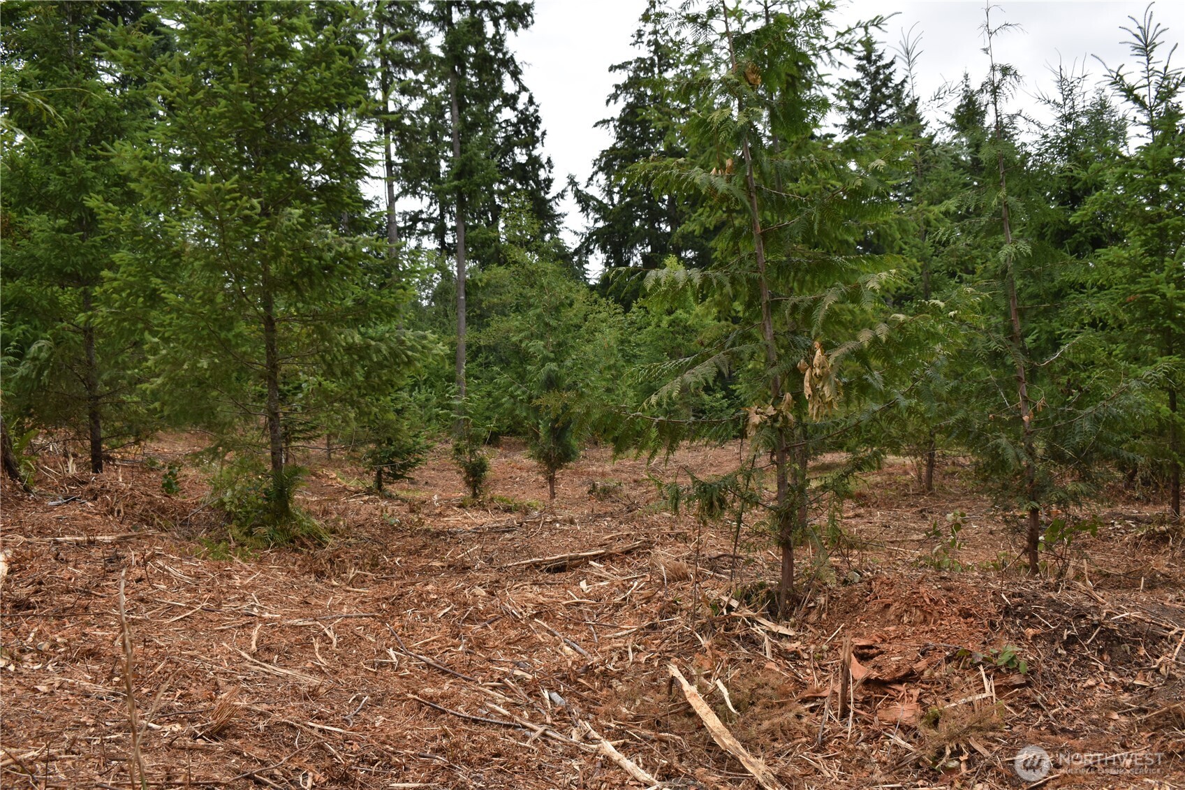 12345 Case Road Southwest Olympia, WA 98512 - Photo 35 of 35