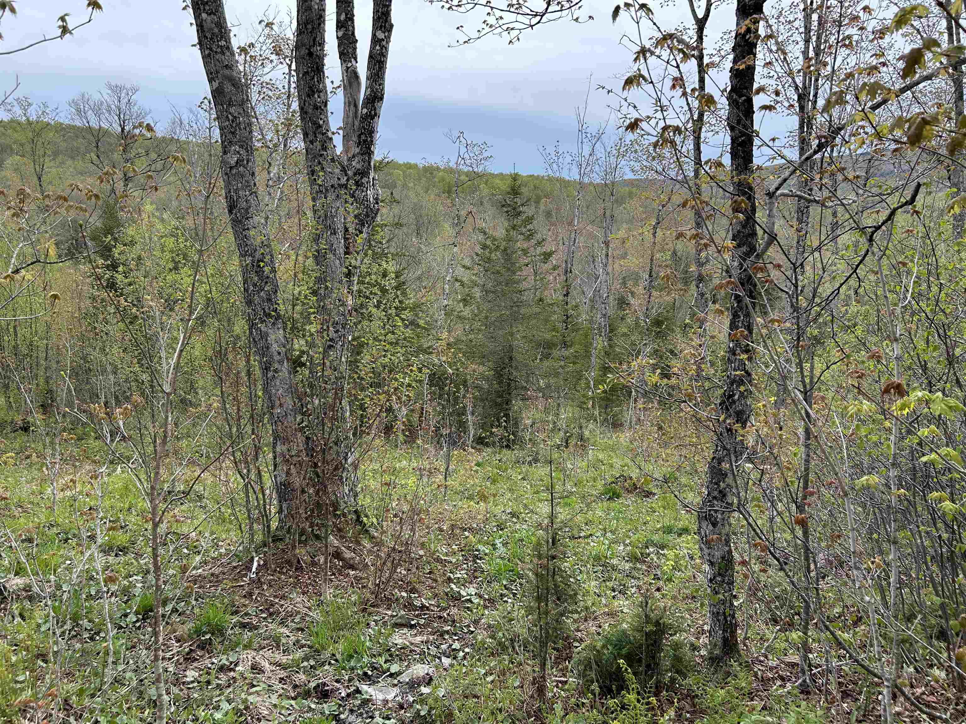 Mapb2-lot16 Dead Water Road Stewartstown, NH 03576 - Photo 2 of 31