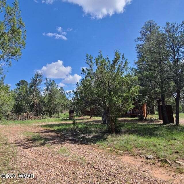 3091 Highway 277 Overgaard, AZ 85933 - Photo 7 of 34