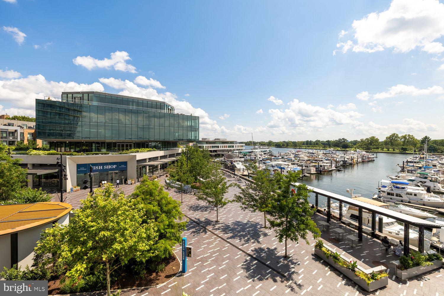 601 Wharf Street Southwest, Unit 301 Washington, DC 20024 - Photo 18 of 53 a view of a lake with a terrace