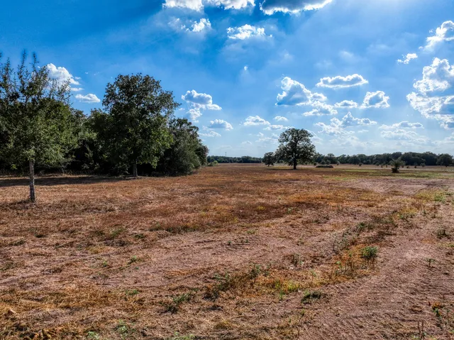 a view of a lake from a yard