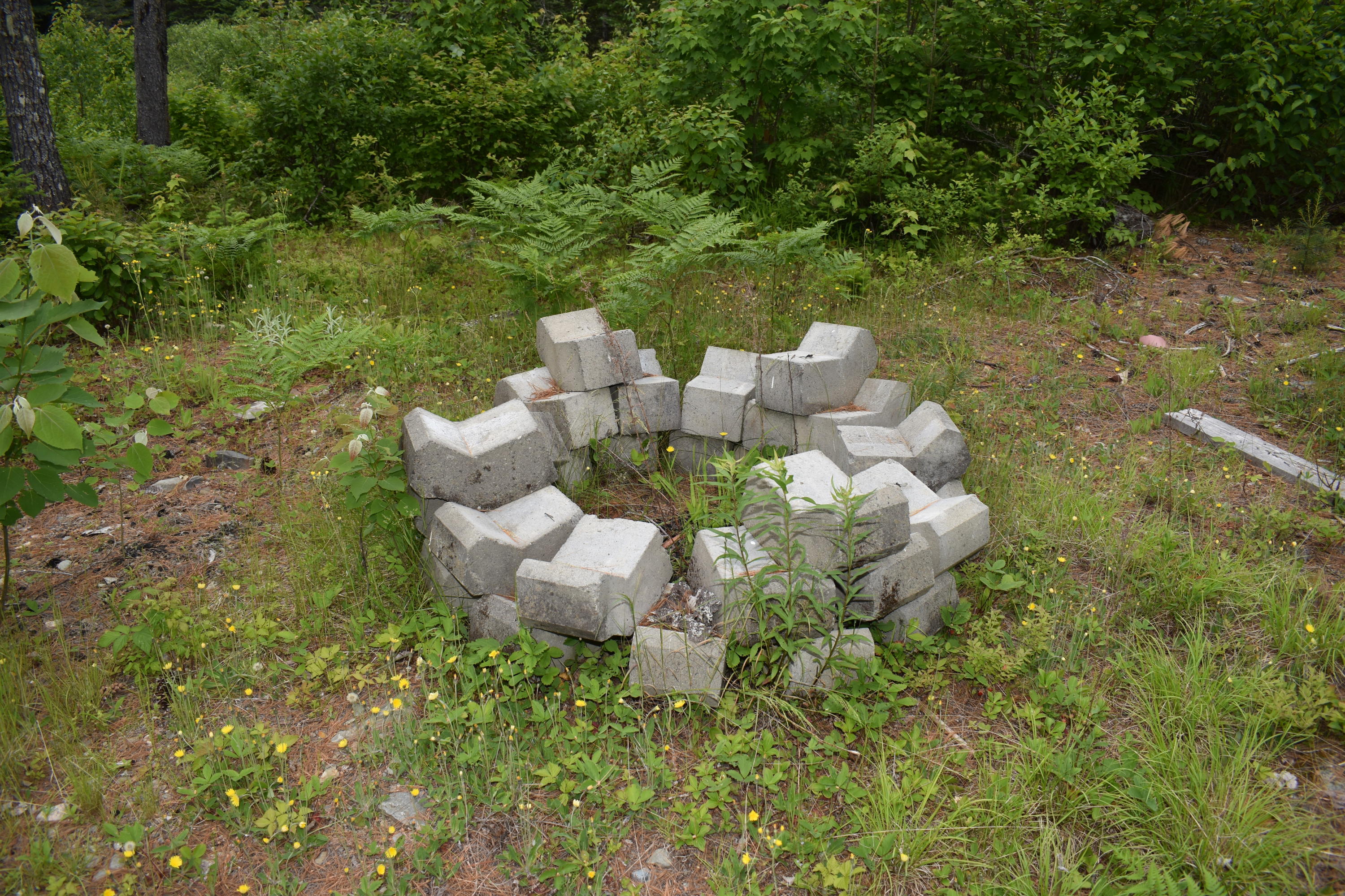 Tbd Tbd Chipper Road Kingman, ME 04451 - Photo 5 of 26 DSC_0262