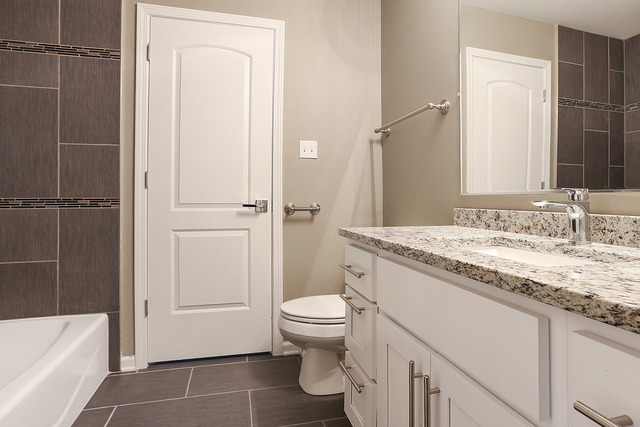 6016 Beechwood Road Matteson, IL 60443 - Photo 9 of 15