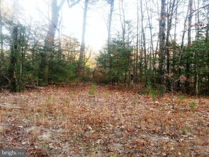 0 Chrystal Road Colonial Beach, VA 22443 - Photo 1 of 11 Lot View From Road