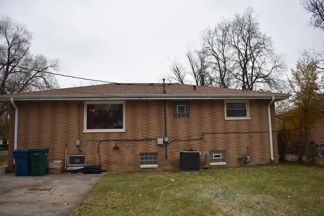 a view of a backyard with plants and large tree