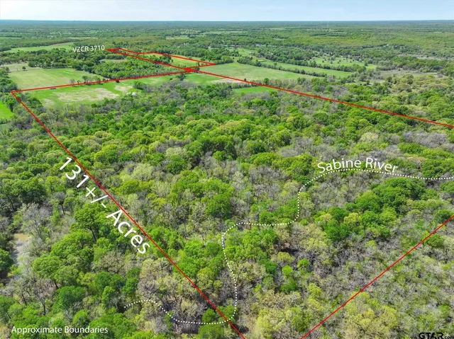 a view of a green field with lots of bushes