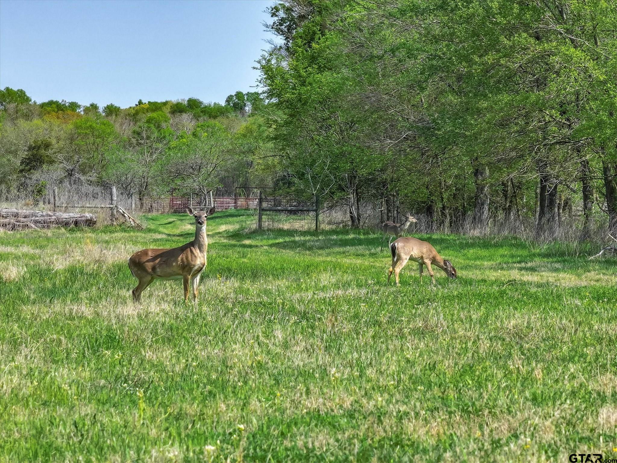 902 County Road 3710 Edgewood, TX 75117 - Photo 28 of 41