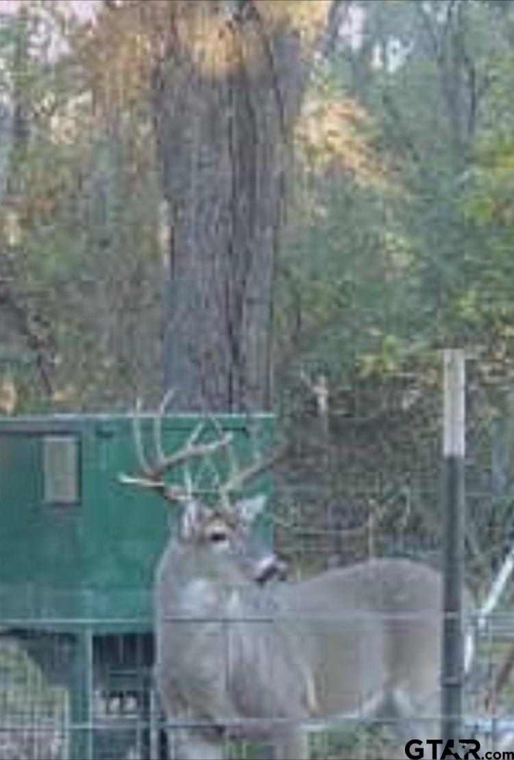902 County Road 3710 Edgewood, TX 75117 - Photo 39 of 41 a view of outdoor space