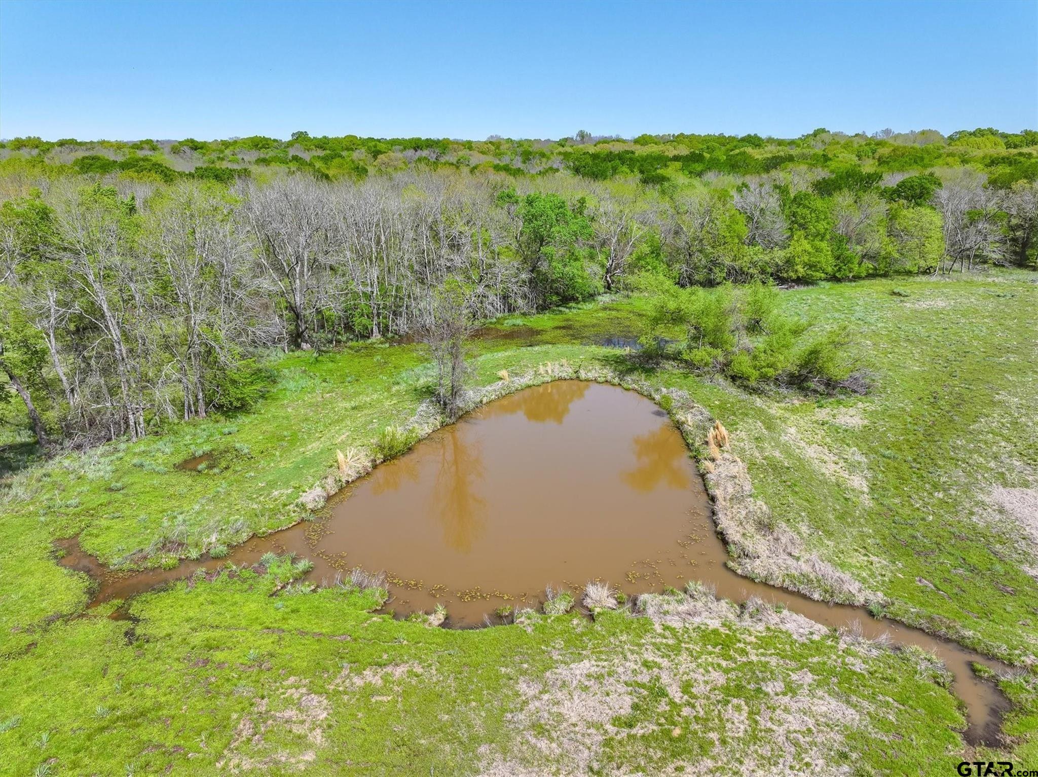902 County Road 3710 Edgewood, TX 75117 - Photo 10 of 41 a view of a garden with a lake