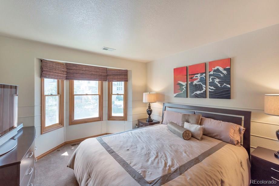 9234 Ritenour Court Lone Tree, CO 80124 - Photo 16 of 35