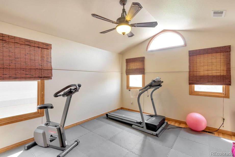 9234 Ritenour Court Lone Tree, CO 80124 - Photo 19 of 35