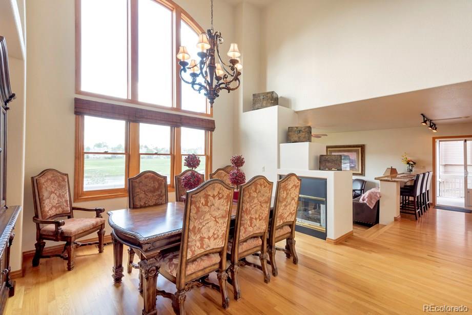 9234 Ritenour Court Lone Tree, CO 80124 - Photo 6 of 35