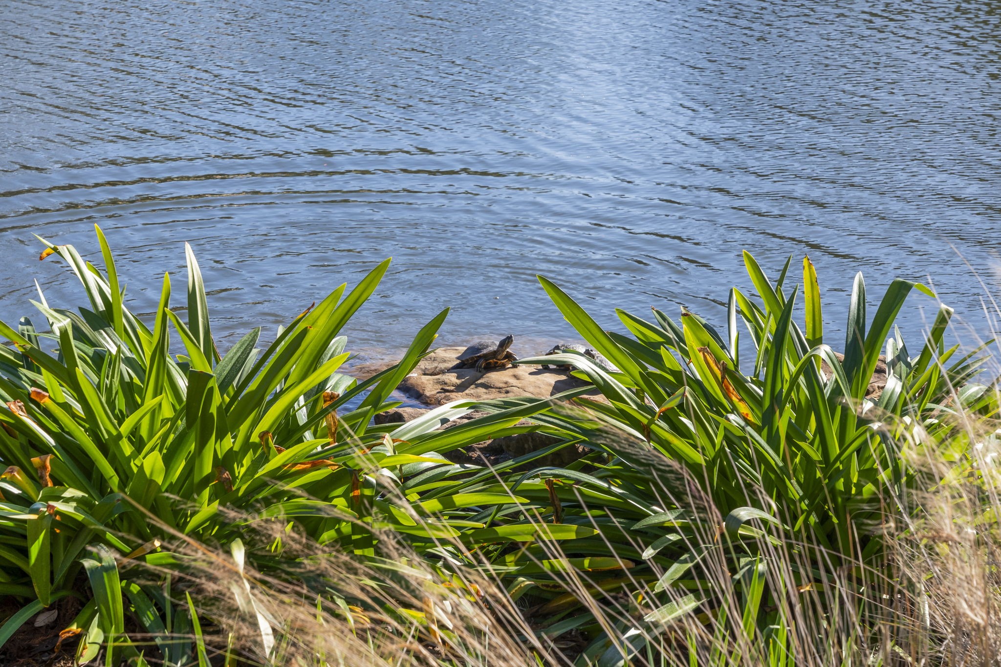 9011 Cedar Run Falls Tomball, TX 77375 - Photo 30 of 30