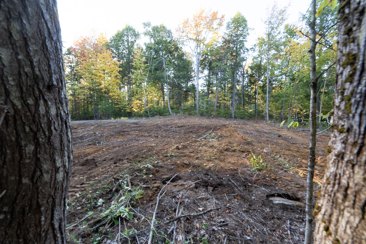 Lot 4 Chadwick Pt Road Weston, ME 04424 - Photo 14 of 30