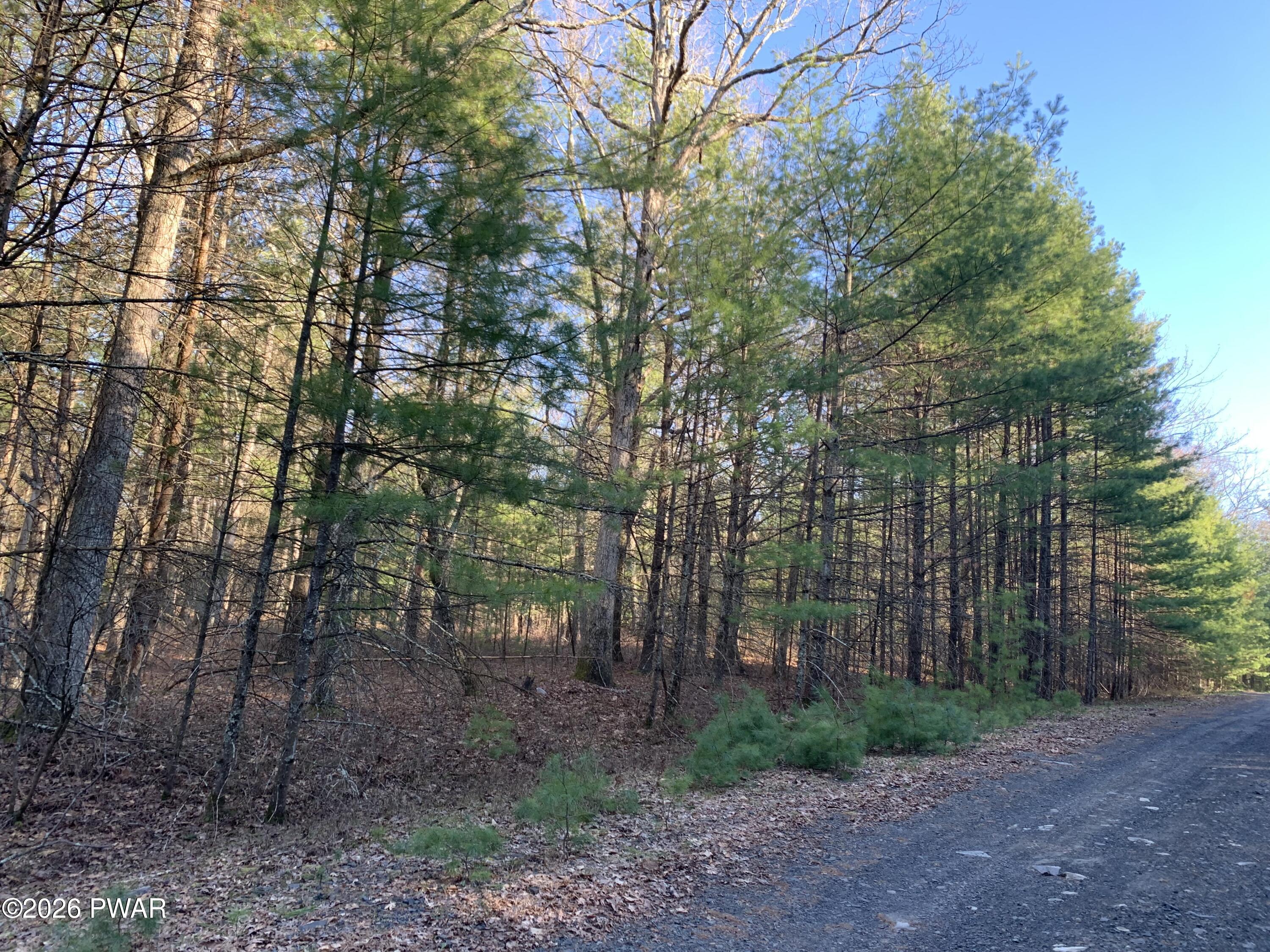 Center Road Dingmans Ferry, PA 18328 - Photo 8 of 21