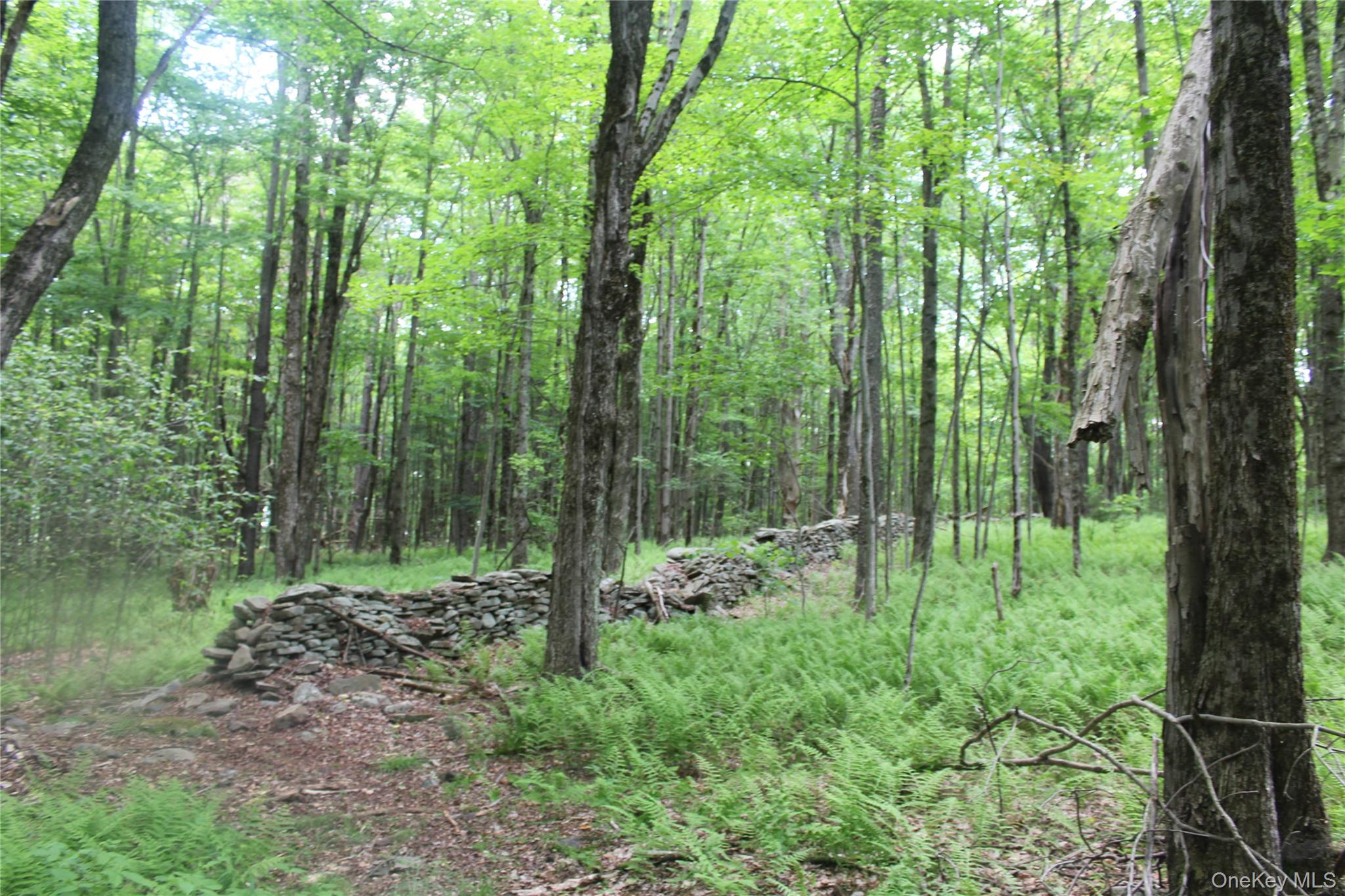 624 County Road Fremont Center, NY 12736 - Photo 35 of 40 Wooded property featuring mature trees and a stone wall