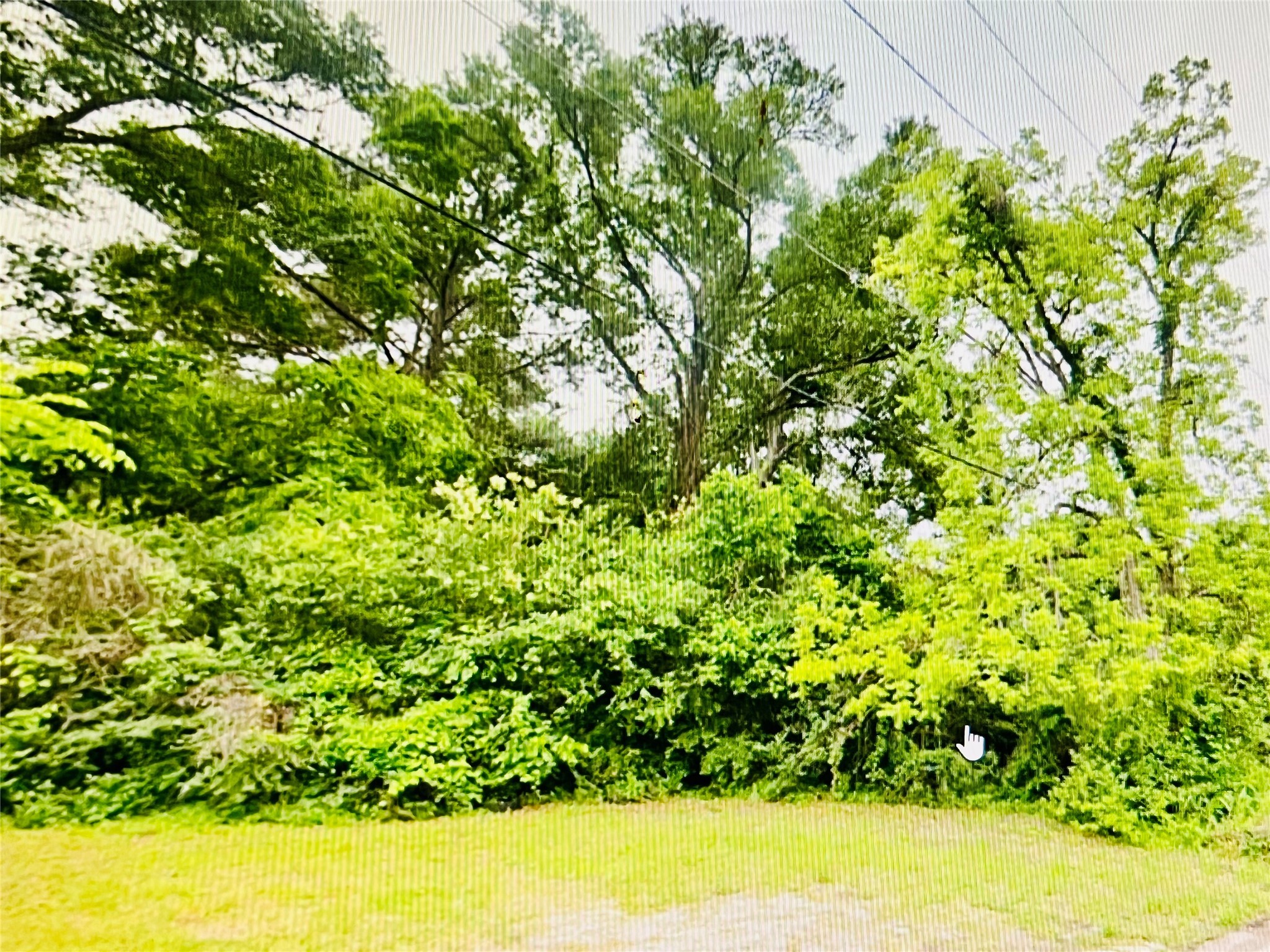 0 West Harrison Street Livingston, TX 77351 - Photo 4 of 5