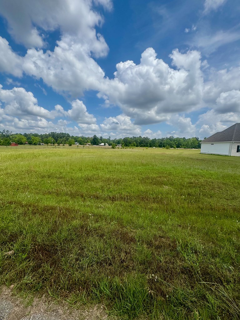 0 Sage Road Ashford, AL 36312 - Photo 3 of 3