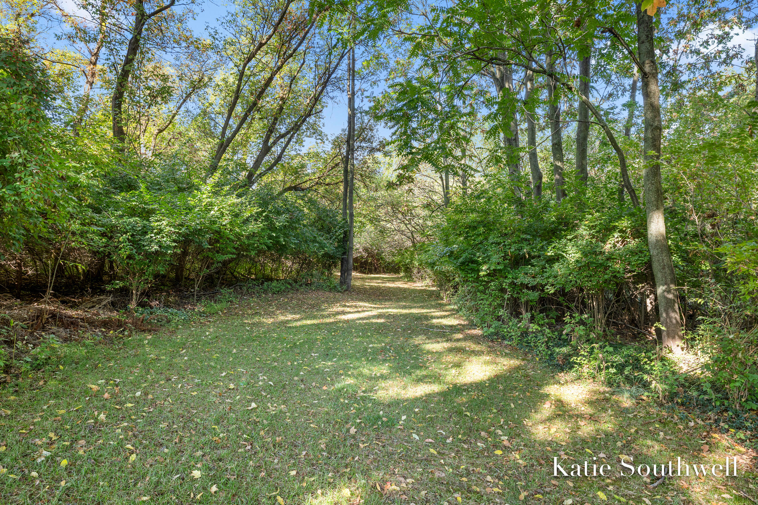 4875 Belding Road Northeast Rockford, MI 49341 - Photo 66 of 71 _MG_6975
