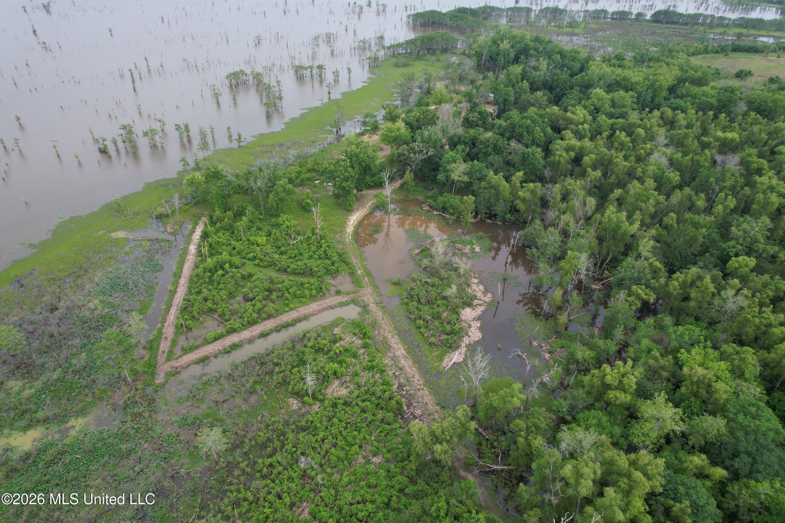 Lake Mary Road Woodville, MS 39669 - Photo 12 of 39 DJI_0969