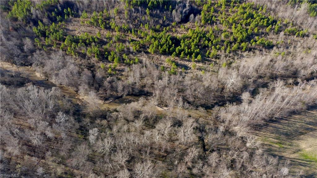 0 Sagebrush Road Ruffin, NC 27326 - Photo 22 of 50 Gallery Image 22