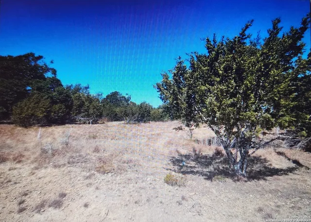a view of a dry yard